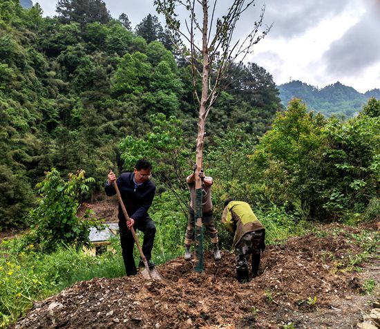 微信图片_20220503172122.jpg