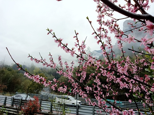 3140e616e37c14e90a0b42cc5654082.jpg 3140e616e37c14e90a0b42cc5654082.jpg