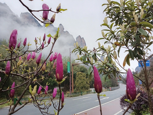 d2e81f5abec29ae2138cf73f5154d2b.jpg d2e81f5abec29ae2138cf73f5154d2b.jpg