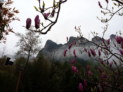 eb39593340980581a1f22091f922947.jpg eb39593340980581a1f22091f922947.jpg