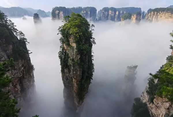 19c8ce31ab1944ceafaf41672c51b870.png