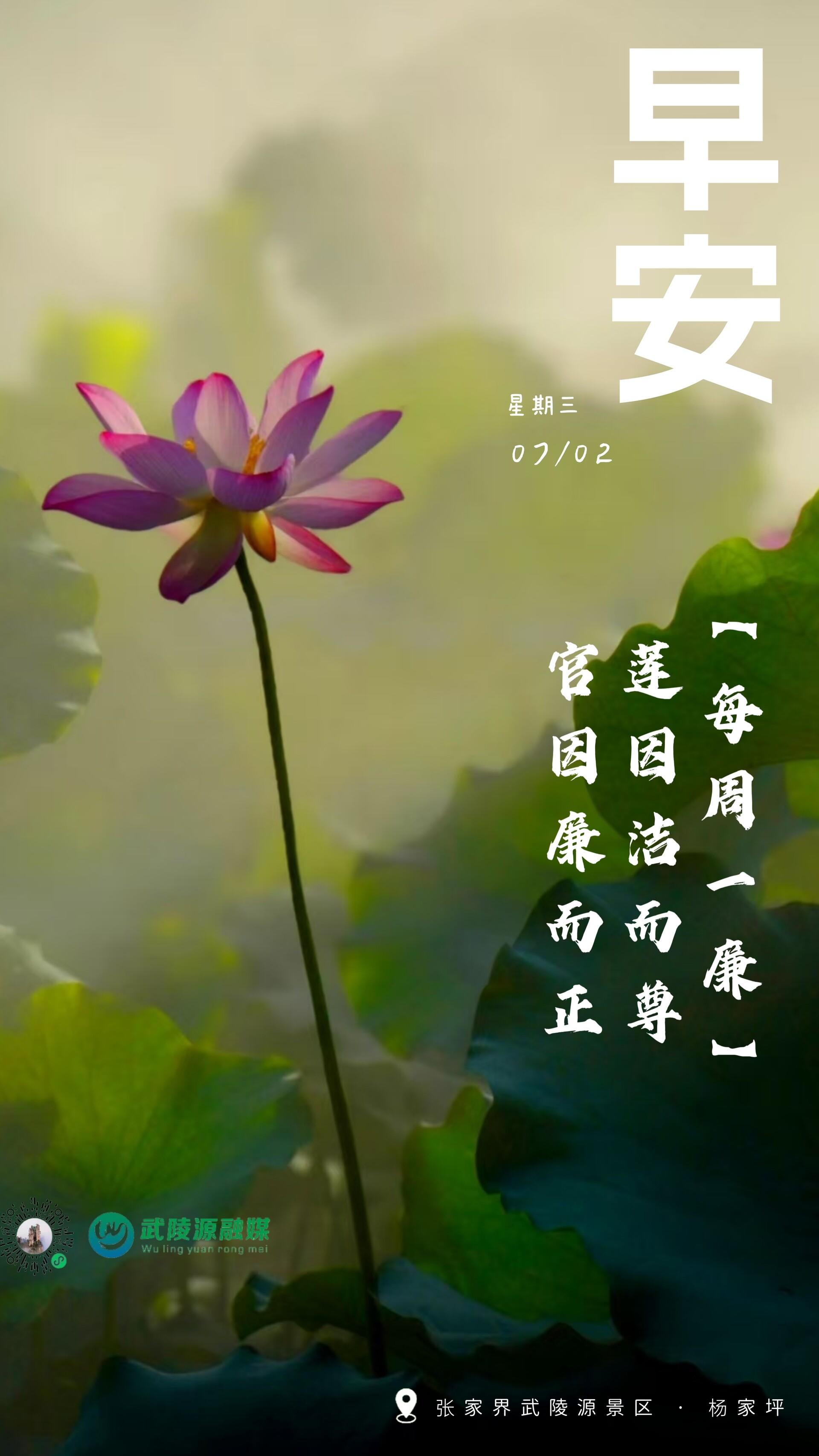 6649f9c50abdb388379e65f8211159a50fd04ffc1751254070095.jpeg