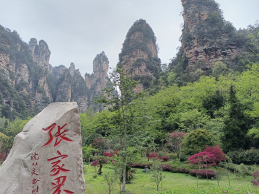 钟跃波调研全区国庆假期旅游接待工作