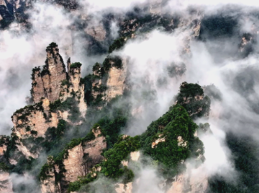 张家界国家森林公园：假期遇云海 峰林入画来