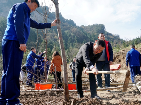 发扬“三界”精神 植绿护景筑新篇——张管局开展义务植树活动