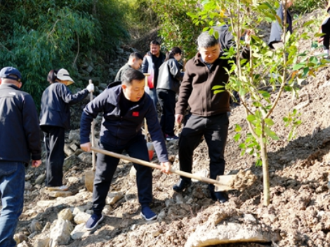 挥锹播绿山水间！武陵源区开展2026年义务植树活动