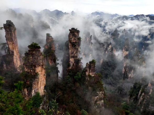 云雾绕奇峰 暖茶伴旅途——武陵源春日盛景美如画