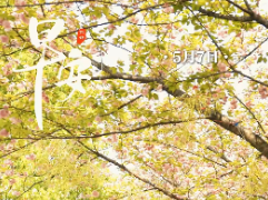 早安 | 5月7日