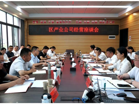 代劲到区旅游产业公司开展调研