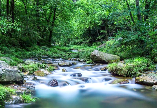 金鞭溪-近景_副本.jpg 金鞭溪-近景_副本.jpg