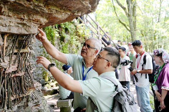 6天子山_副本.jpg