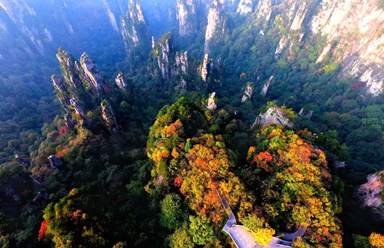 秋-天子山-《天子山秋色》-张光之_副本_副本.jpg 秋-天子山-《天子山秋色》-张光之_副本_副本.jpg
