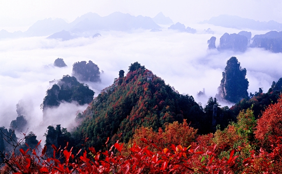 A 奇峰叠翠优秀作品 卧龙岭秋色2-刘君已用_副本_副本.jpg A 奇峰叠翠优秀作品 卧龙岭秋色2-刘君已用_副本_副本.jpg