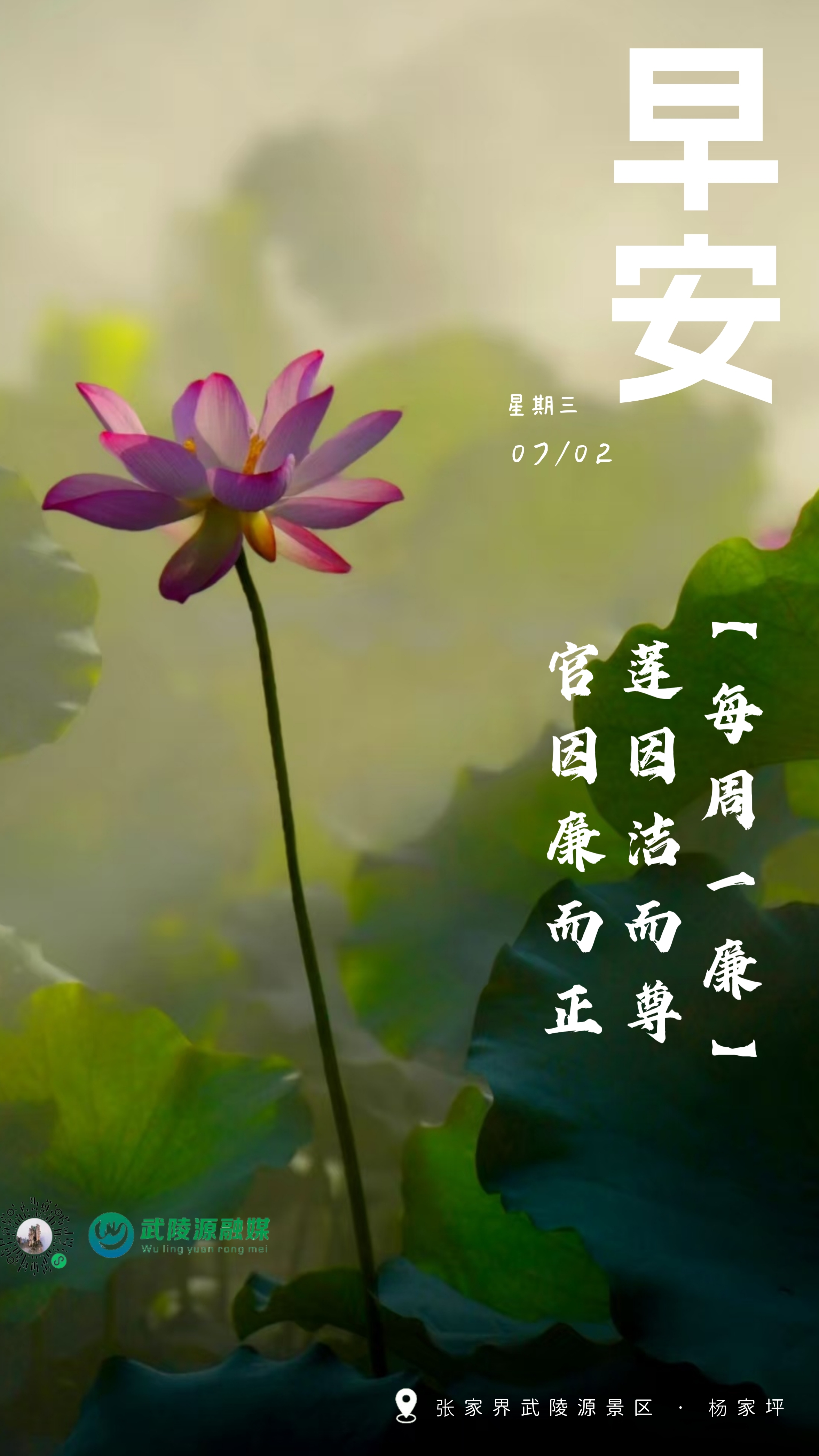 早安丨莲因洁而尊，官因廉而正。