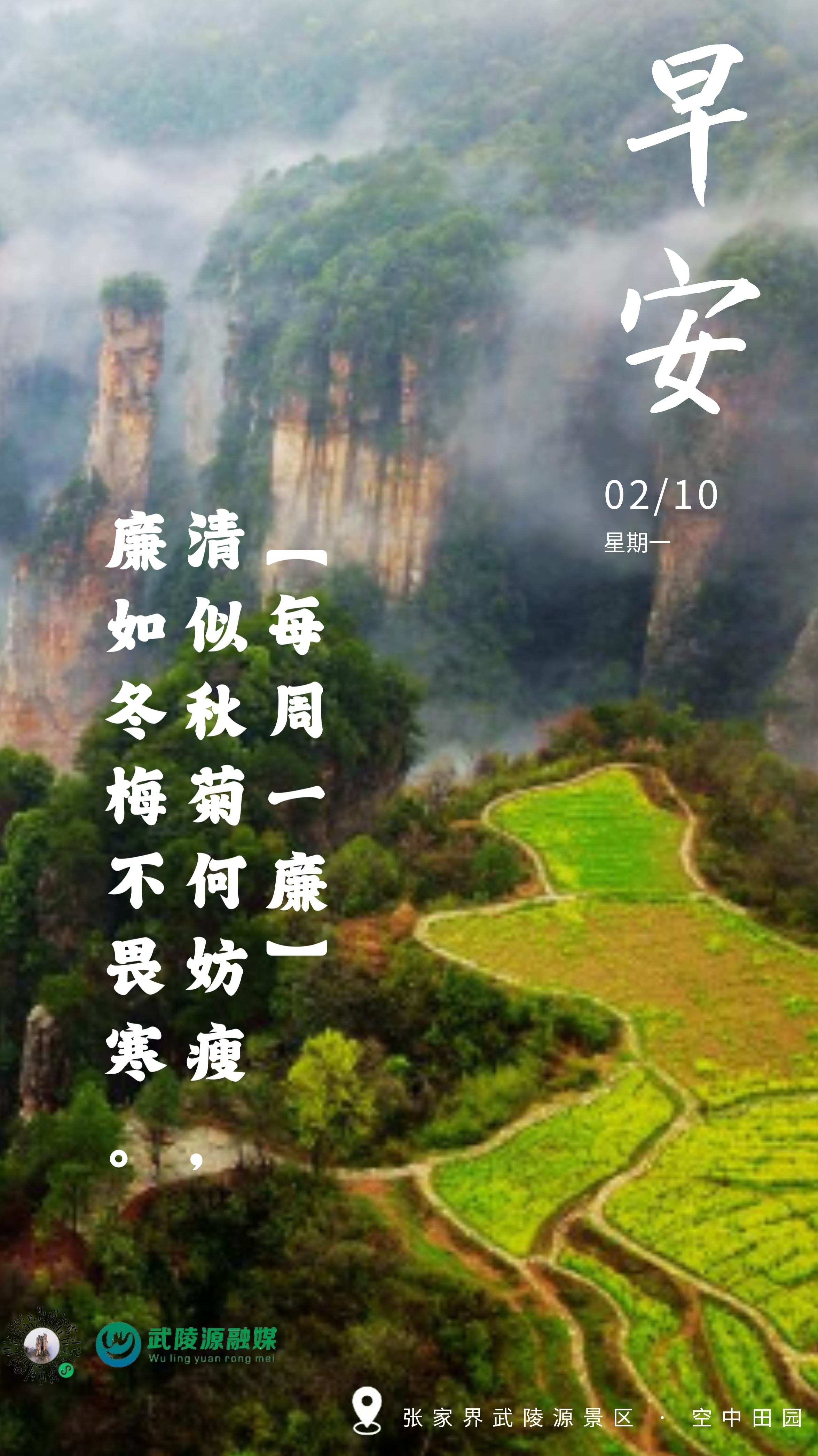 早安丨清似秋菊何妨瘦，廉如冬梅不畏寒。