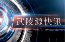 武陵源快讯（2025年4月29日）