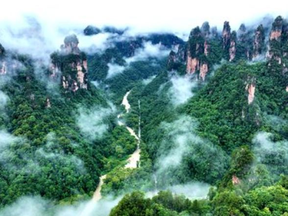 张家界武陵源景区：雨后初晴 峰林云海美如画