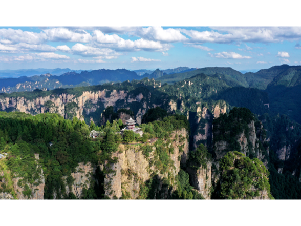 武陵源区举行2026年离退休处级干部迎新春学习活动