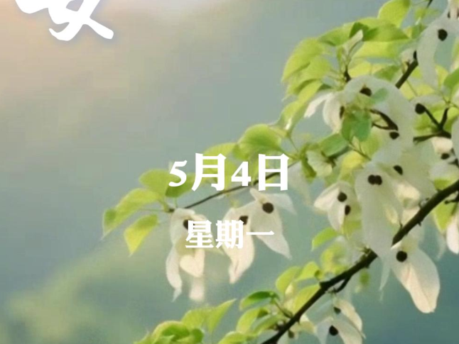 早安 | 5月4日