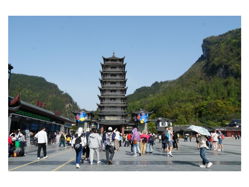 踏青出游“春意浓” 清明假期首日 武陵源游人如织