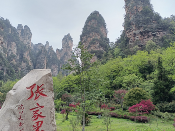 王汝翠督导包保片区“清洁武陵源”专项行动开展情况
