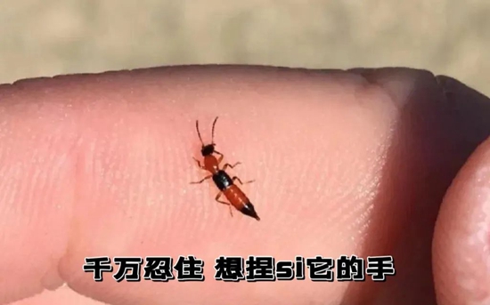 微信图片_20241010165603.jpg
