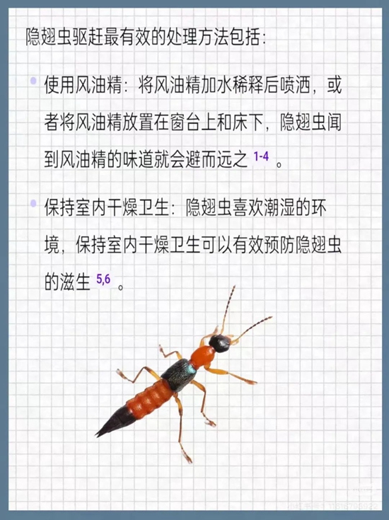 微信图片_20241010165906.jpg