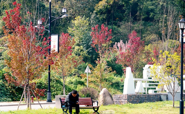 DSC02682_副本.jpg DSC02682_副本.jpg