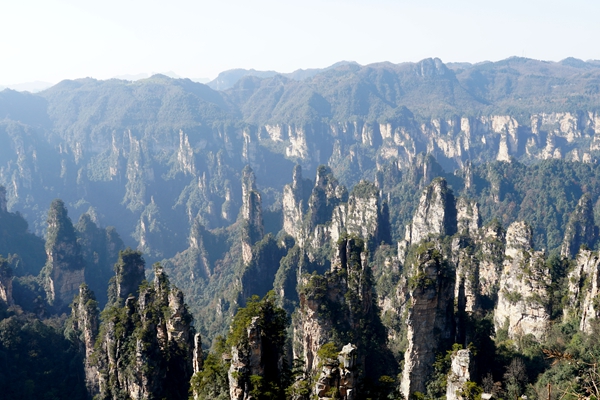 112733.jpg 112733.jpg