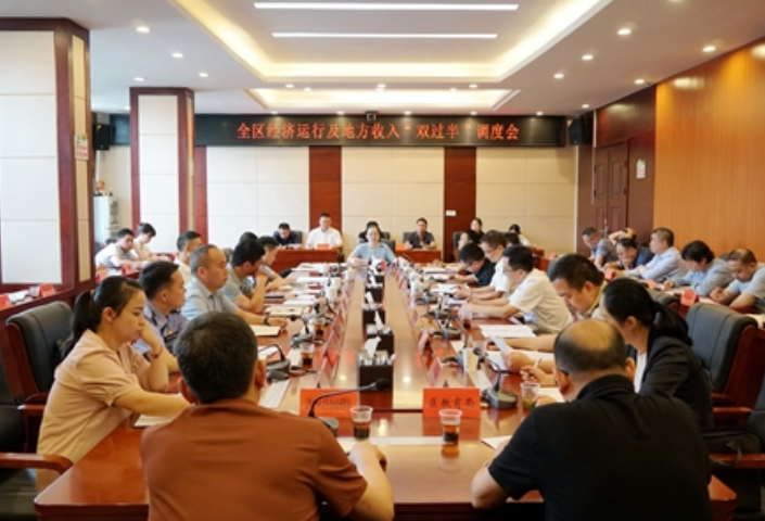 吴俞萍主持召开全区经济运行及地方收入“双过半”调度会