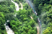 云雾织锦 群峰入画 张家界武陵源雨后云海惊艳亮相