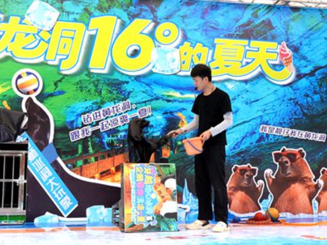 企鹅、海狮、水豚齐相聚 张家界黄龙洞景区“萌宠避暑季”正式开启