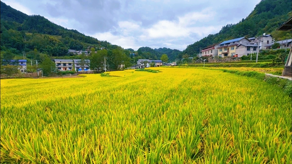 米1.jpg