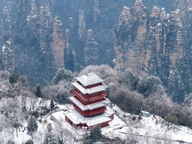 张家界武陵源：踏雪赏梅  中外游客共赏冬日限定仙境