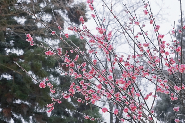 8ca242368322720c3a20bd3f7ba1576e.jpg 8ca242368322720c3a20bd3f7ba1576e.jpg