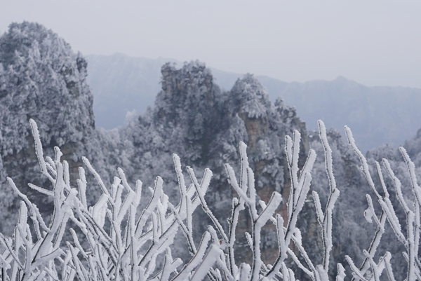 ab2097836d237f94d6435f2fed809535.jpg ab2097836d237f94d6435f2fed809535.jpg