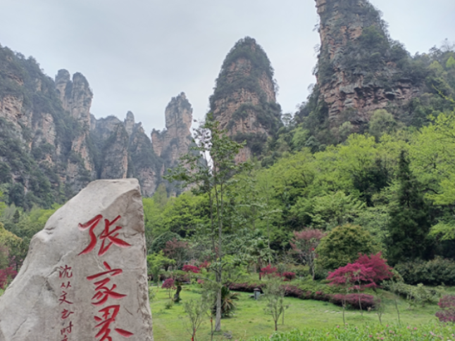 中共张家界市武陵源区第七届委员会2026年第4次常委会会议召开（总第4次）