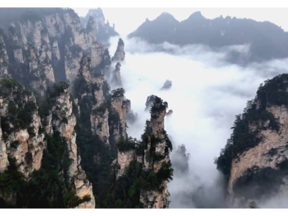 春节收官遇盛景 张家界天子山绝美云海引游客争相打卡