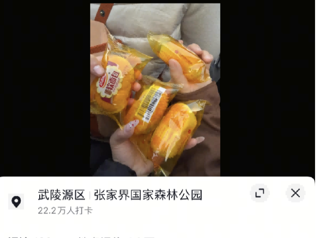 暖心服务变“流量密码” 张家界国家森林公园“宠游客”获游客刷屏点赞