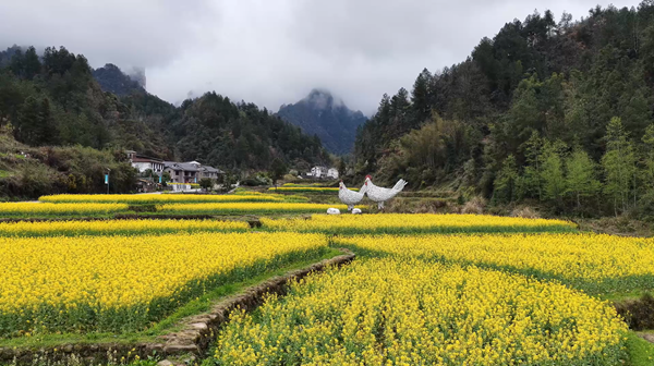 微信图片_20260320094025_981_6_副本.png 微信图片_20260320094025_981_6_副本.png