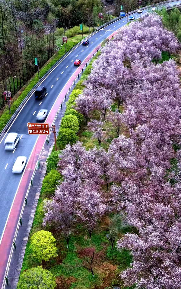 微信图片_20260320102403_984_6_副本.jpg 微信图片_20260320102403_984_6_副本.jpg