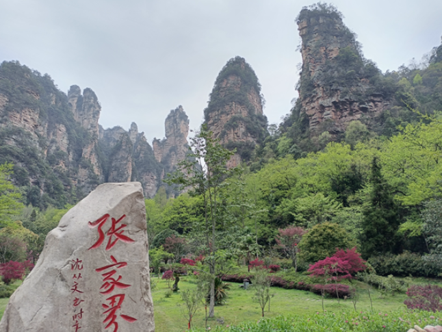 武陵源区离境退税“首单”落地 入境游再添新动能