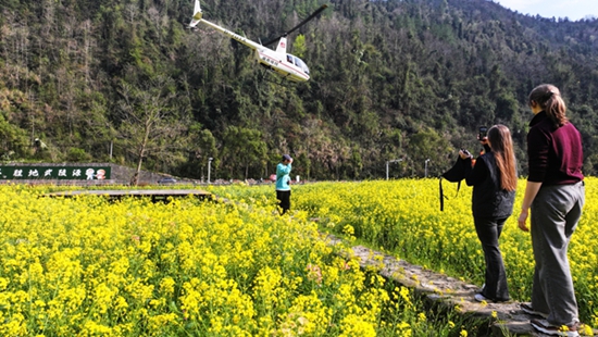 98f04509750b4549b28caa6c2204480f.jpg 98f04509750b4549b28caa6c2204480f.jpg