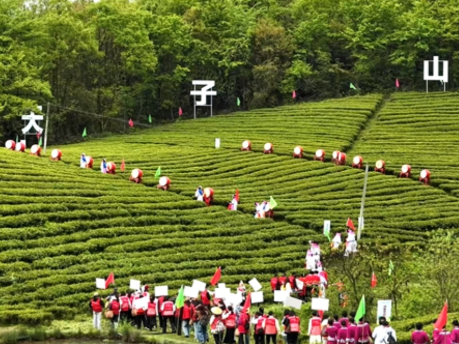 三千奇峰竞秀 一杯红茶飘香——2026武陵源首届茶旅文化周启幕
