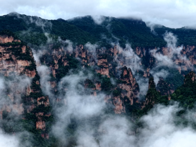 张家界武陵源：雨歇云海漫 美景入画来