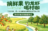 摘鲜果、钓龙虾、喝村咖！7月25日 赴一场山野稻田里的夏日音乐之约