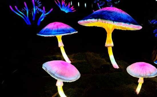 5_副本.jpg 5_副本.jpg