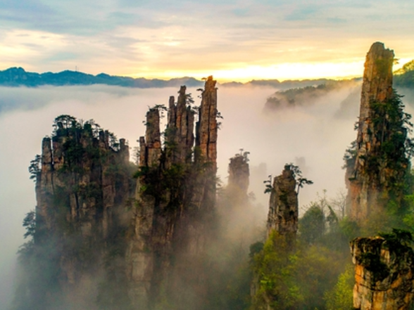 抖音网红打卡张家界国家森林公园经典线路 沉浸式感受绝版峰林