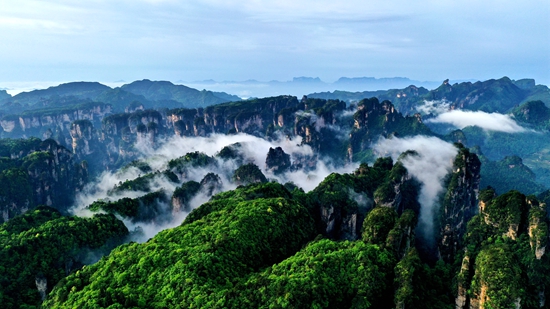 大美杨家界+吴勇兵+2021年5月17日，雨过天晴的武陵源景区杨家界，翠绿的山峦间云雾缭绕。1_副本.jpg