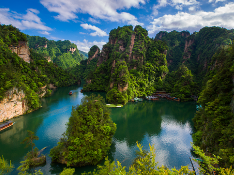 实施“七大攻坚”表现优异 武陵源区人民政府办公室获省政府表扬